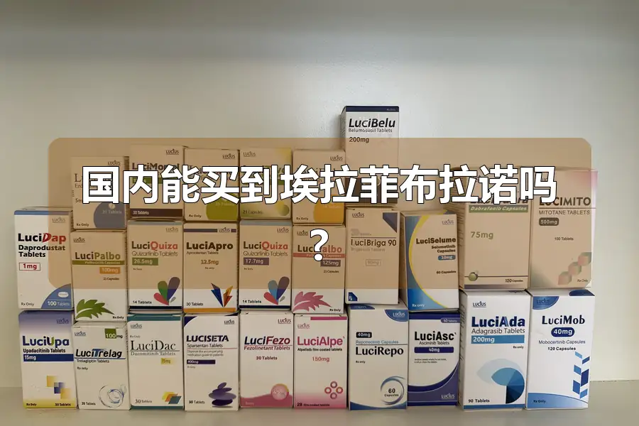 国内能买到埃拉菲布拉诺吗?